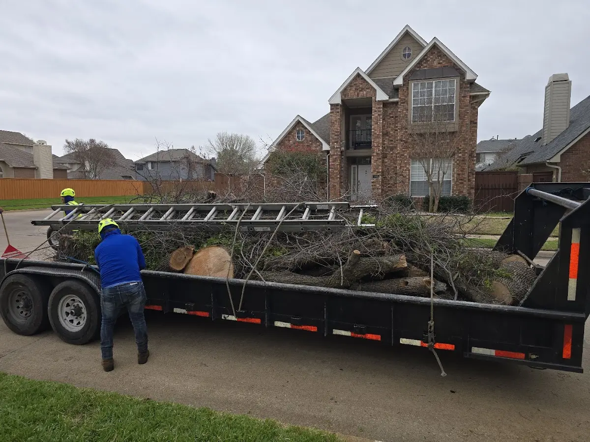 Expert Lot Clearing with proper safety equipment in Trimble